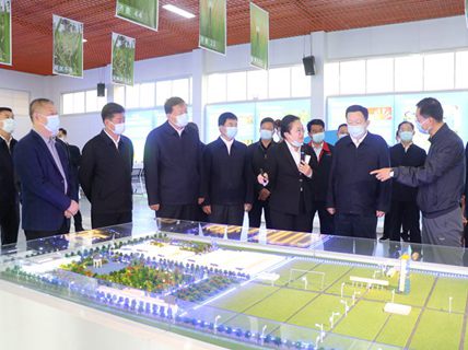 省委副書記、省長周乃翔到新綠洲公司調研指導工作